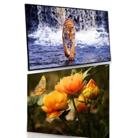 Signage Screens